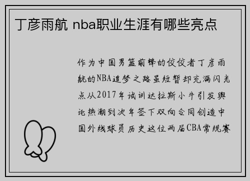 丁彦雨航 nba职业生涯有哪些亮点